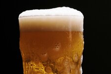 Bier